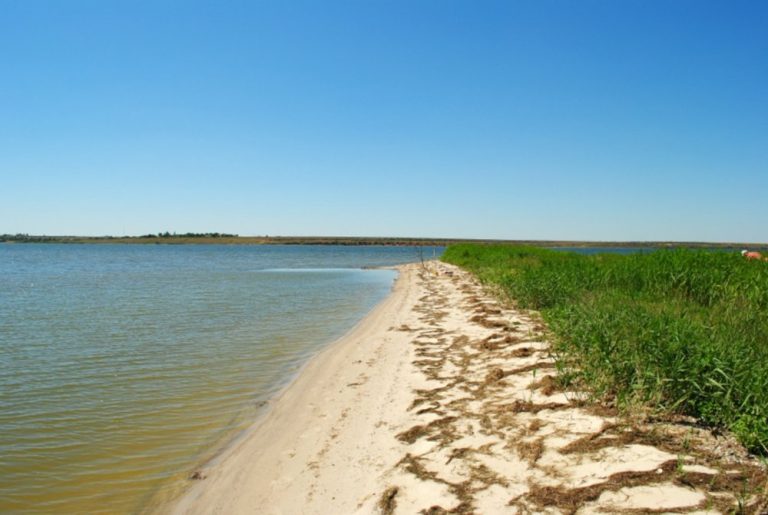 Березанський лиман: динамічна екосистема на межі прісної та морської води