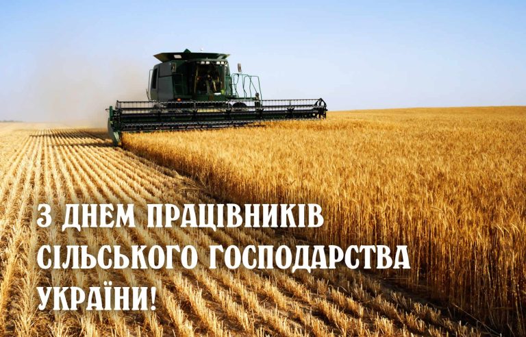 День працівників сільського господарства України: свято тих, хто сіє надію на золотавих ланах