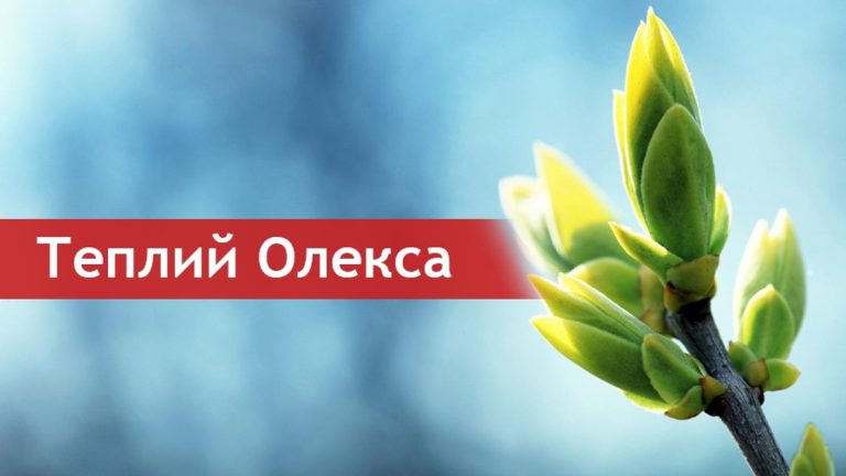 Теплий Олекса: свято весняного тепла, бджолярських традицій та народної мудрості