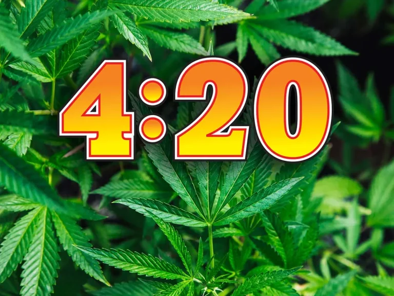 День коноплі: історія 4/20, значення та сучасні реалії