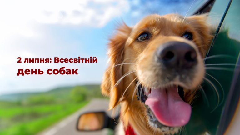 День собак: свято, яке нагадує про найщирішу дружбу на планеті