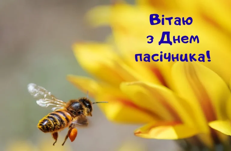 Коли день пасічника: дата, історія та традиції свята