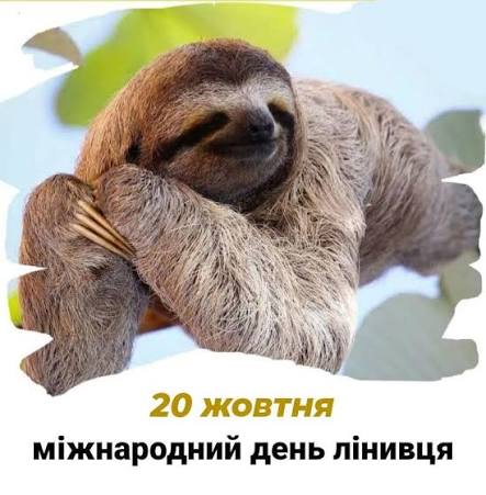 Міжнародний день лінивця: свято найповільніших мешканців тропічних лісів