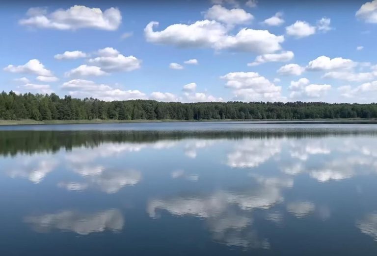 Озера-стариці: підкови, що зберігають пам’ять річок