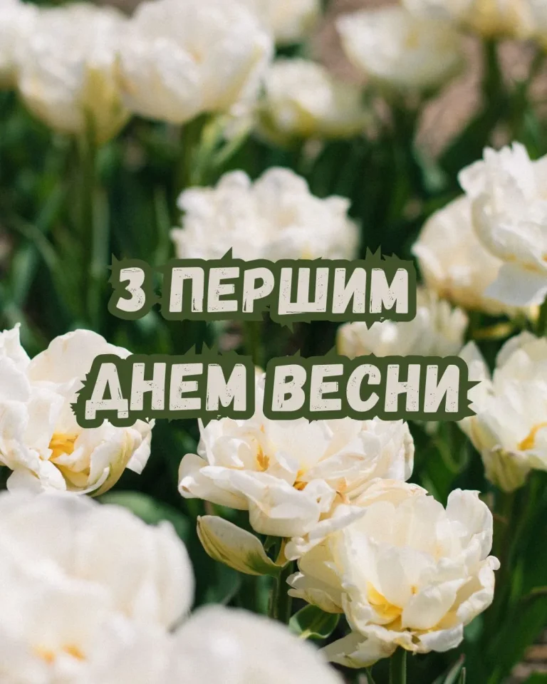 Вітання з першим днем весни: теплі слова, традиції та ідеї для близьких